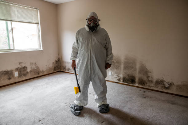Best Post-Flood Mold Remediation in Woodville, TX